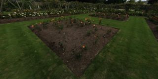 Polesden Lacey Rose Gardens